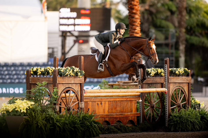 レアREGAL 2021 year model Horse Leather レアREGAL 2021 year model Horse Leather