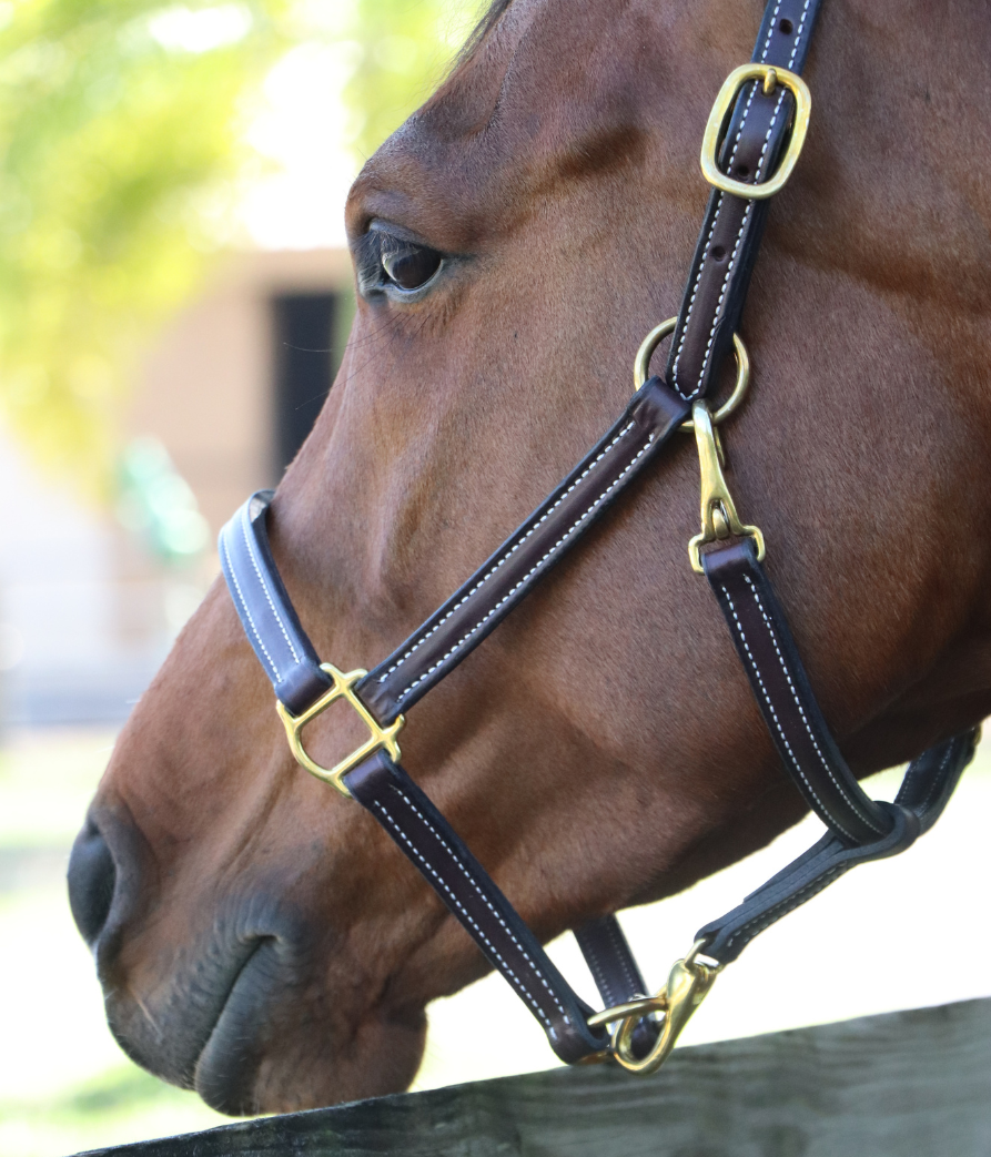 HORSE – Remarkable Leather Goods