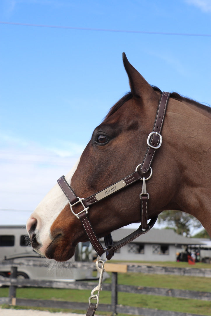 Leather Halter For Horses Premium Leather Fancy Horse Bridle