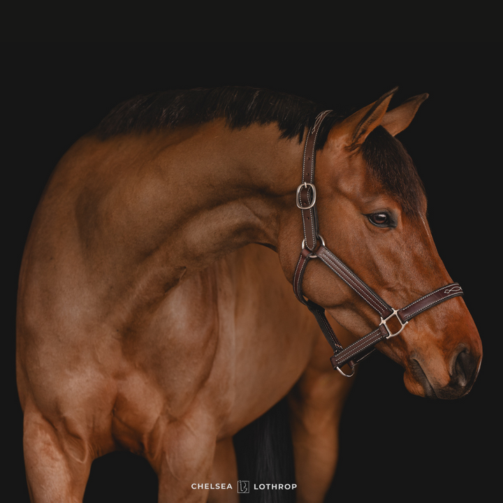 Remarkable's Fancy Stitch Halter – Remarkable Leather Goods