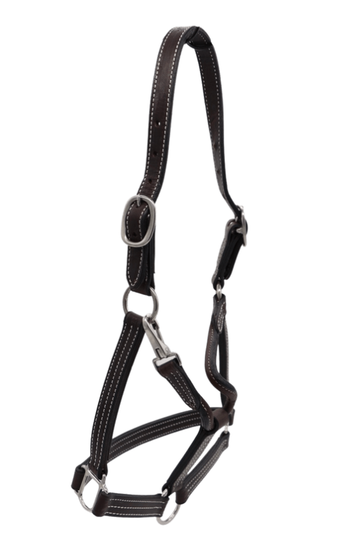 レアREGAL 2021 year model Horse Leather Saddlery ring with triangle, Nickel Plated | Pet Hardware®