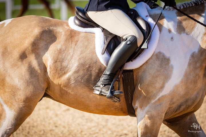 レアREGAL 2021 year model Horse Leather レアREGAL 2021 year model Horse Leather レアREGAL 2021 year